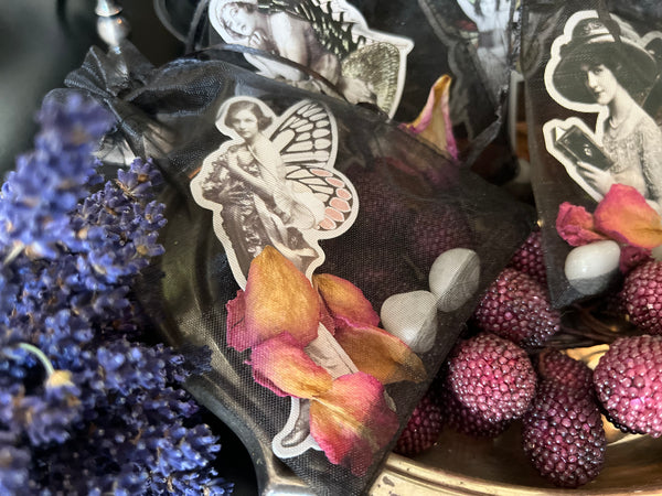 Vintage Fairy Lady Crystal Pouch