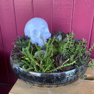 Skull, Rose Quartz & Succulent in Cambridge Bowl w/ Silver Lace