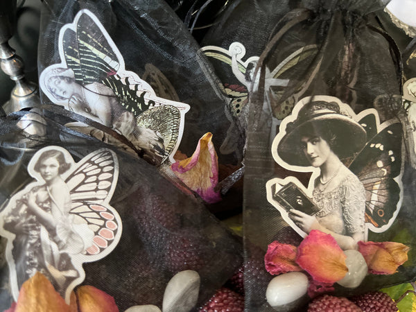 Vintage Fairy Lady Crystal Pouch