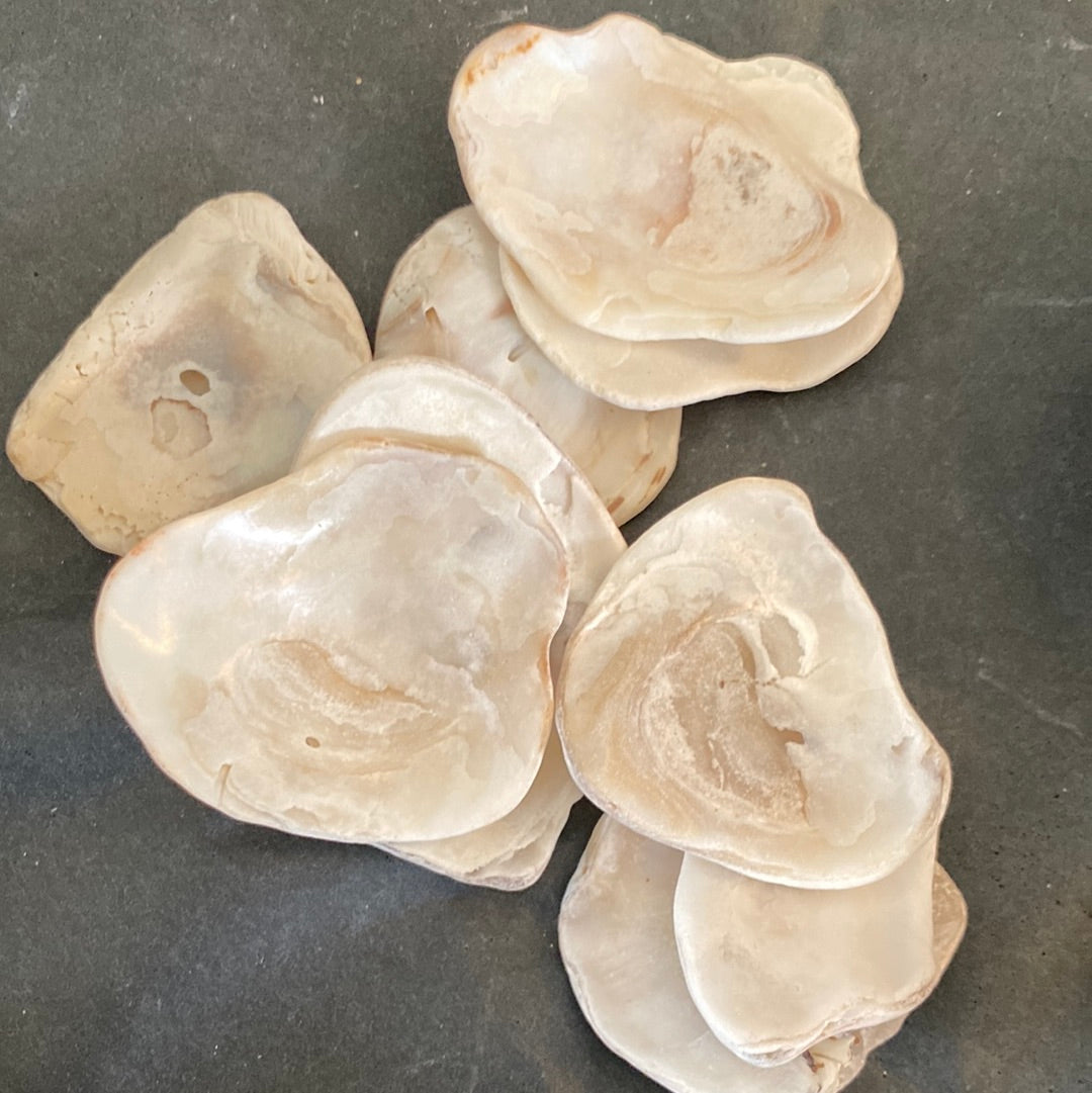 Mermaids Toenails (Shells)