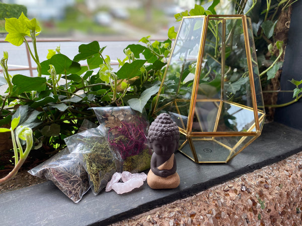 Crystal Rose Quartz Terrarium w/ Buddha Small Kit