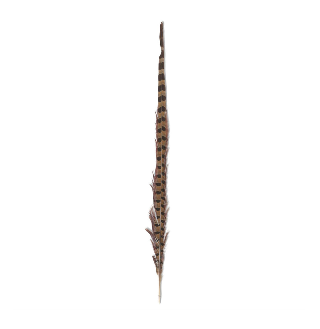 Feathers