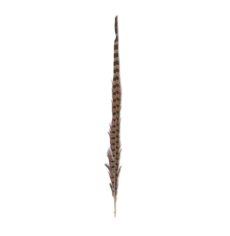 Feathers