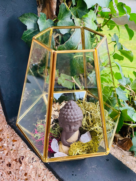Crystal Rose Quartz Terrarium w/ Buddha Large Kit