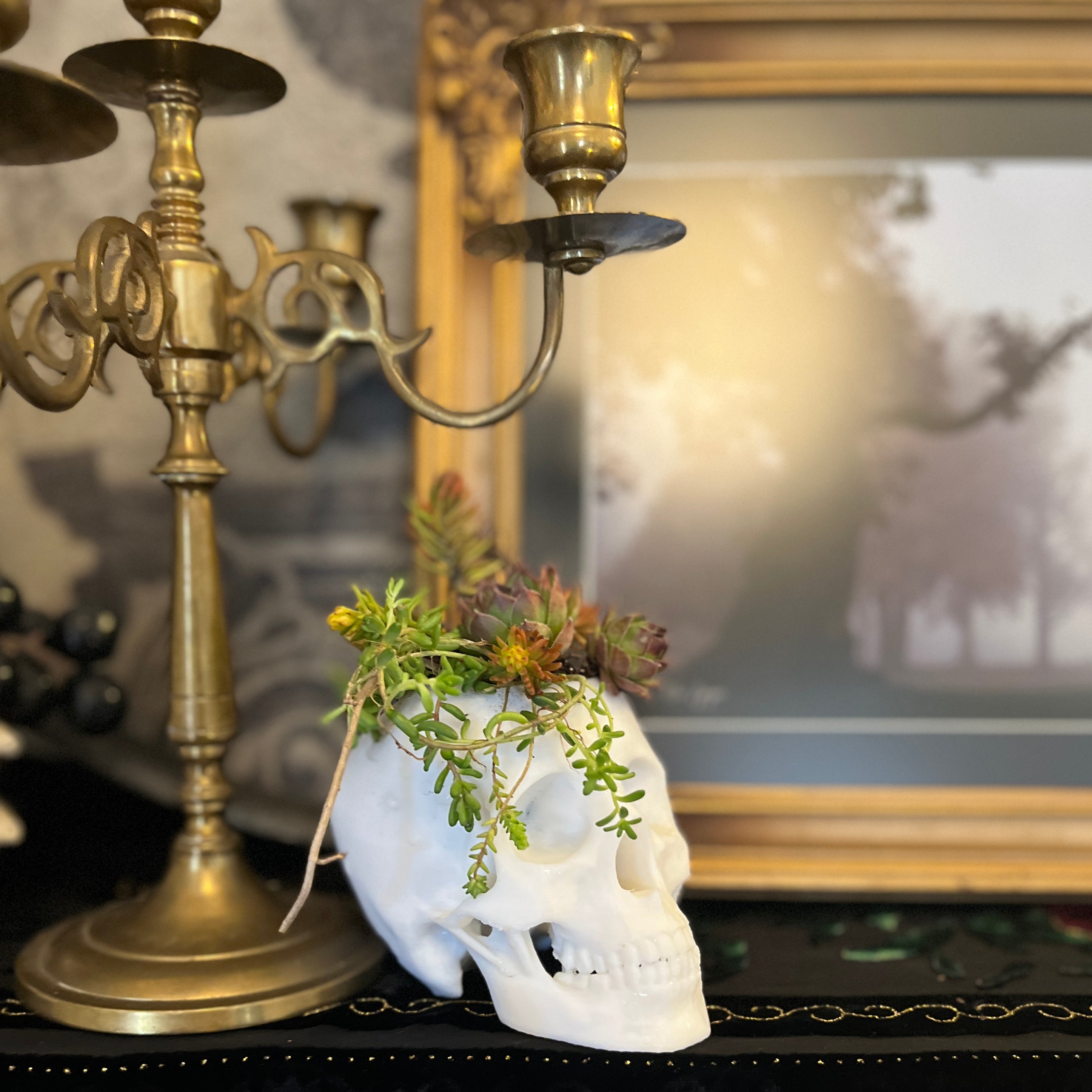 Skull Planter