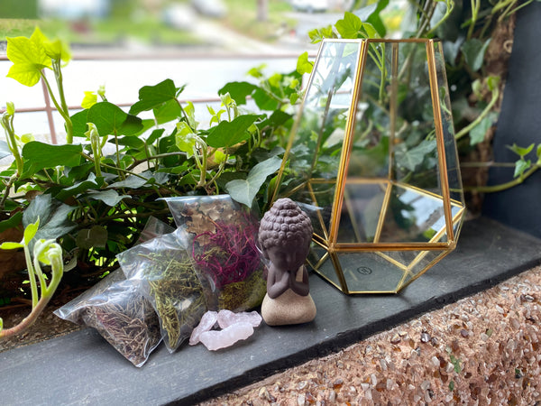 Crystal Rose Quartz Terrarium w/ Buddha Large Kit