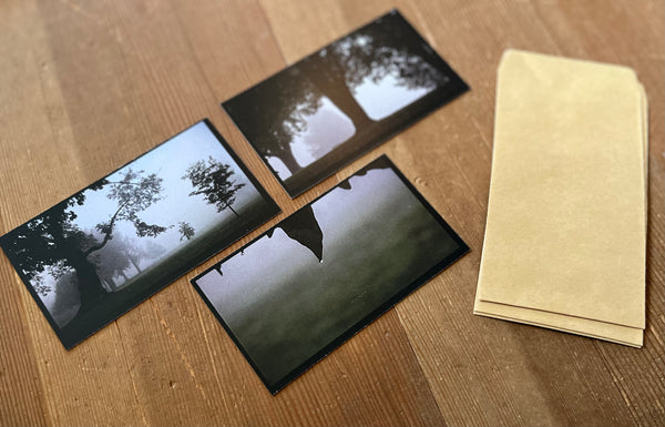 Petrichor
