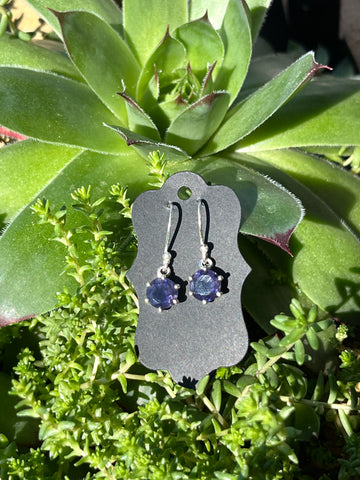 Silver Drop Earrings w/ Semi Precious Stones