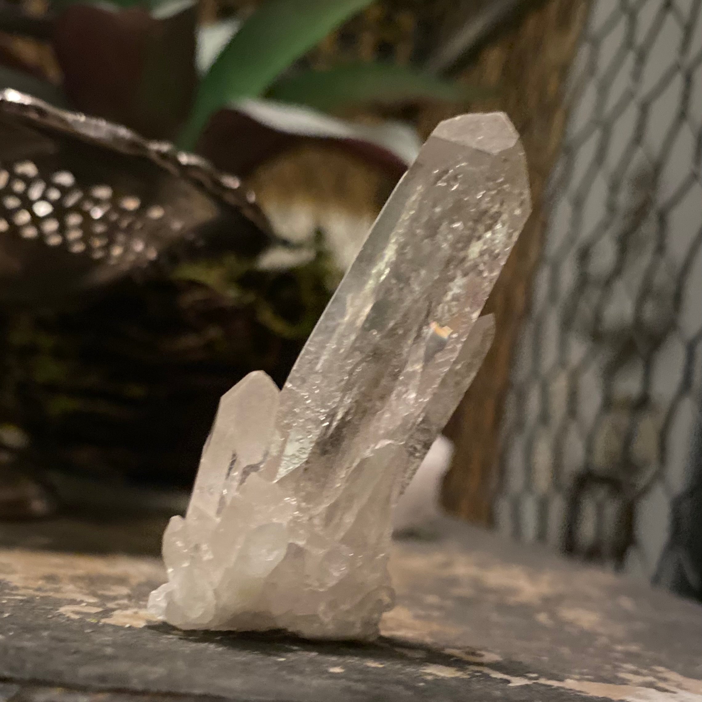 Clear Quartz Cluster A Quality Size 5