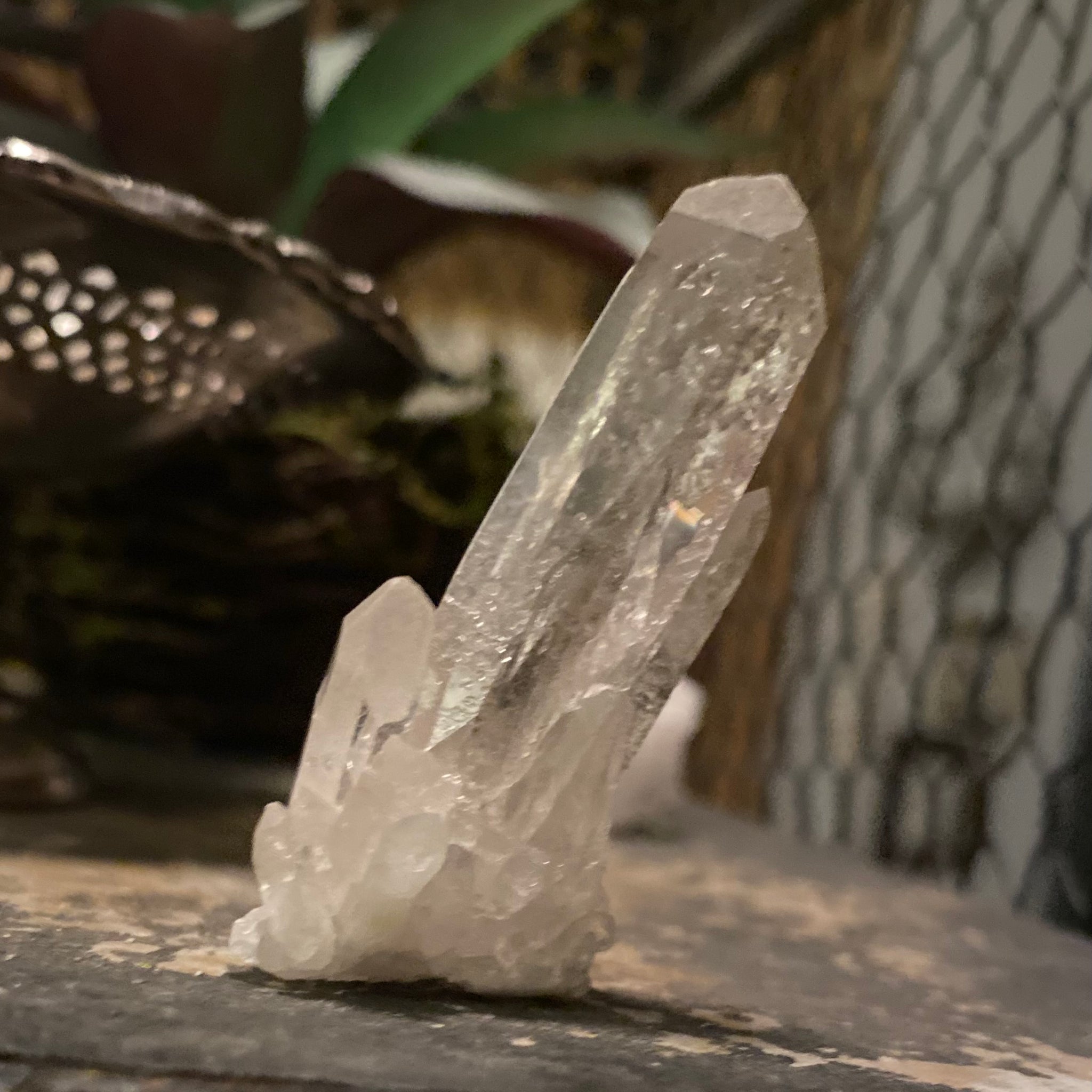 Clear Quartz Cluster A Quality Size 5