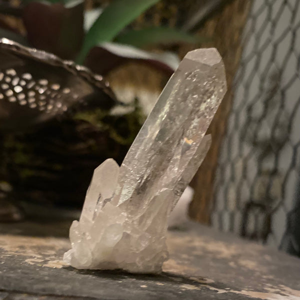 Clear Quartz Cluster A Quality Size 5