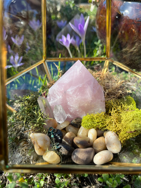 Crystal Rose Quartz Terrarium