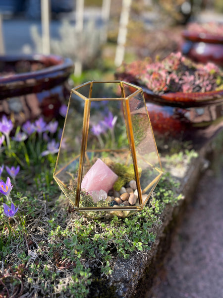 Crystal Rose Quartz Terrarium