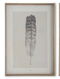 Framed Feather Print