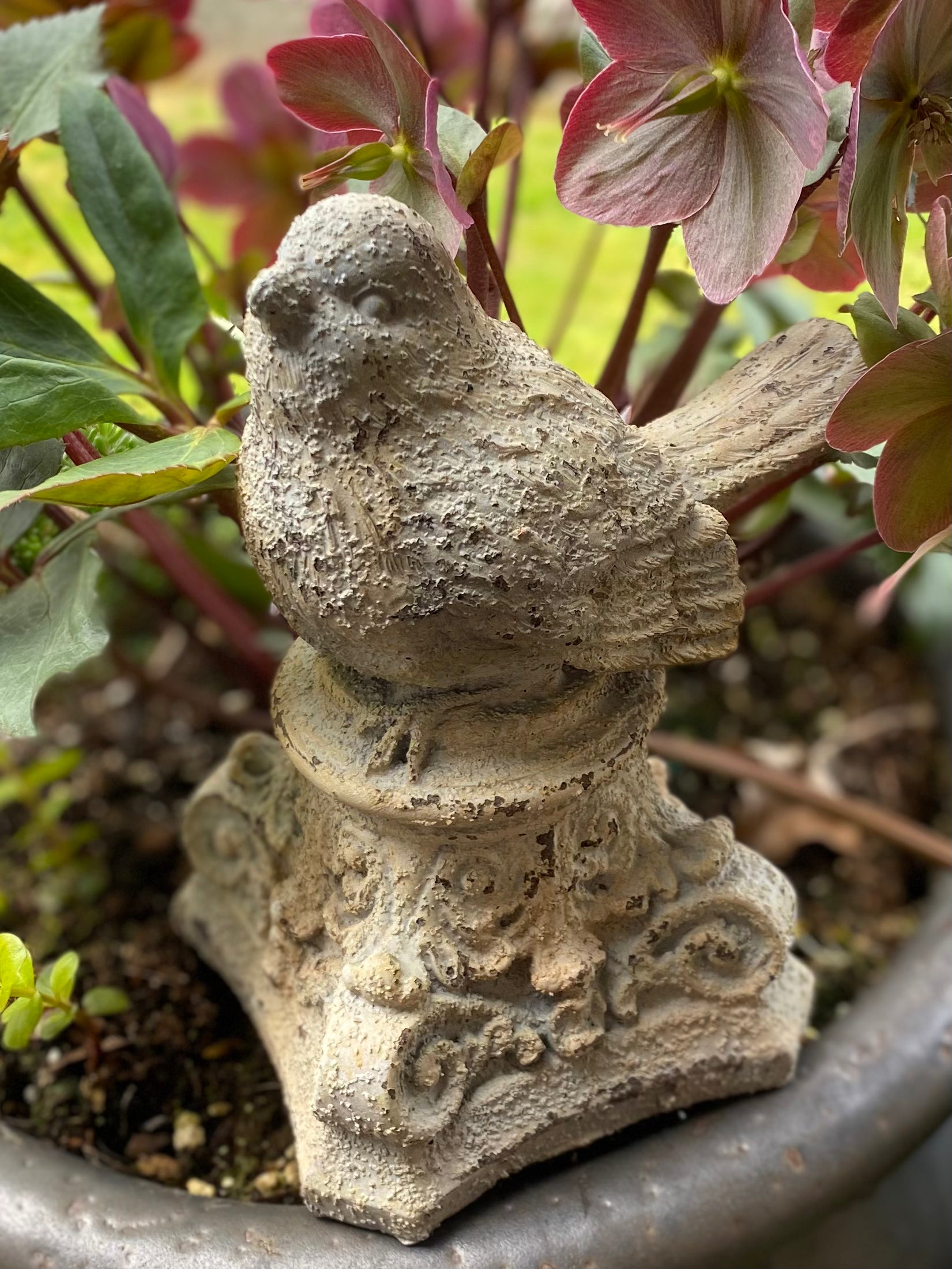 7" Resin Birds on Scroll Pedestals