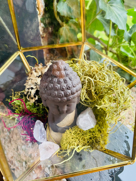 Crystal Rose Quartz Terrarium w/ Buddha Large Kit