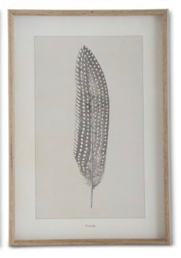 Framed Feather Print