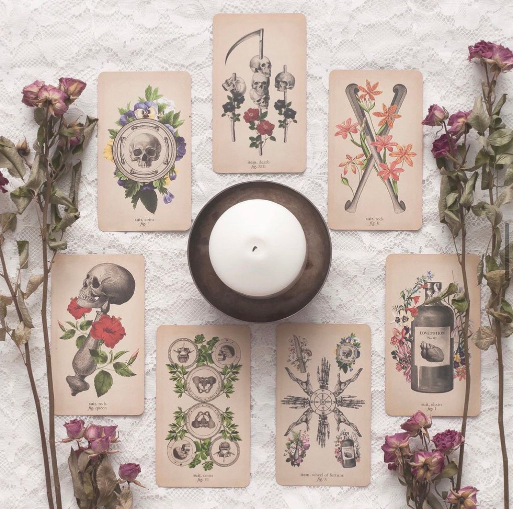 Antique Anatomy Tarot Kit