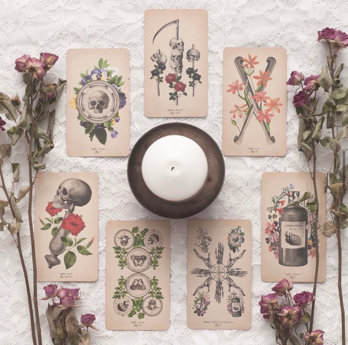 Antique Anatomy Tarot Kit