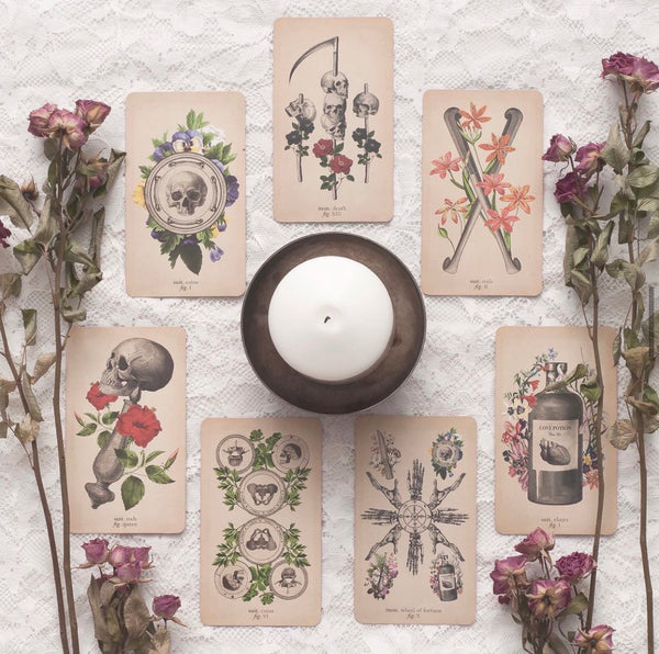 Antique Anatomy Tarot Kit