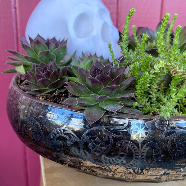 Skull, Rose Quartz & Succulent in Cambridge Bowl w/ Silver Lace