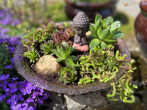 Pink Depression Glass Bowl  w/ Succulent Arrangement