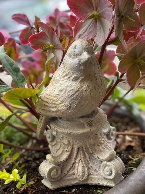 7" Resin Birds on Scroll Pedestals