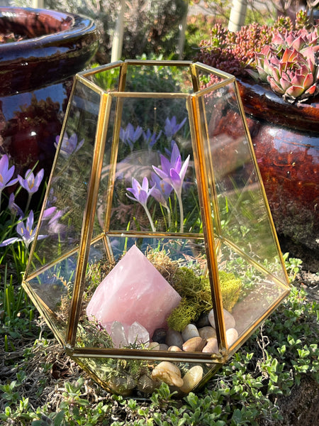 Crystal Rose Quartz Terrarium