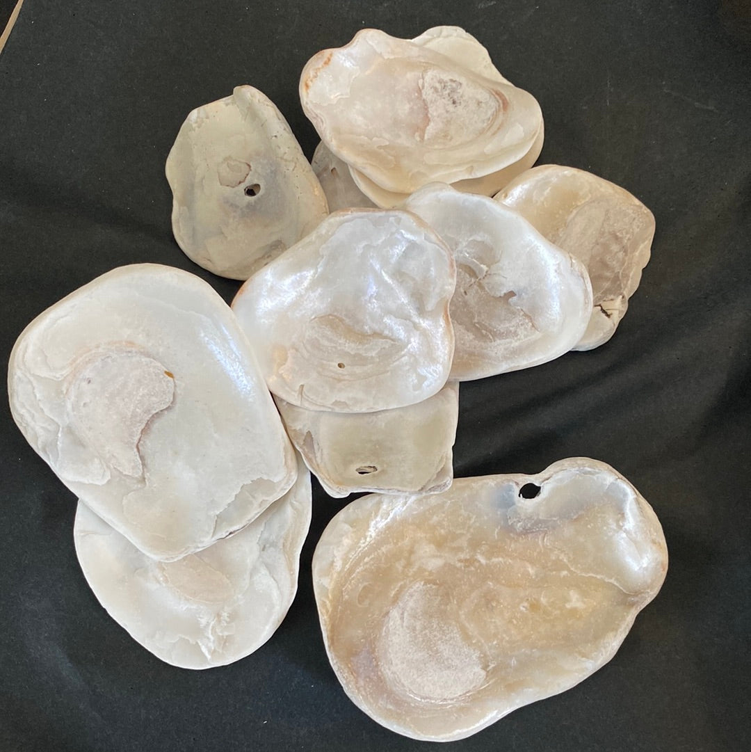 Mermaids Toenails (Shells)