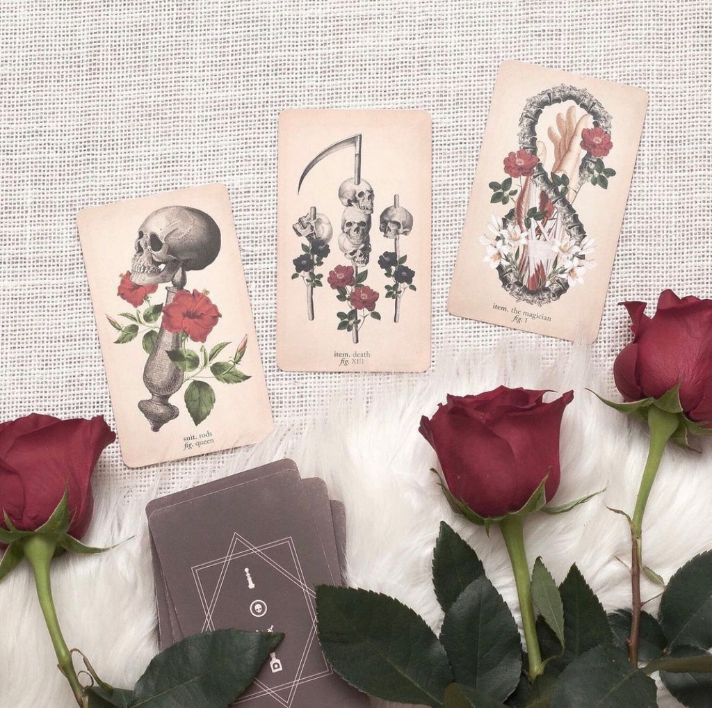 Antique Anatomy Tarot Kit