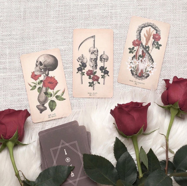 Antique Anatomy Tarot Kit