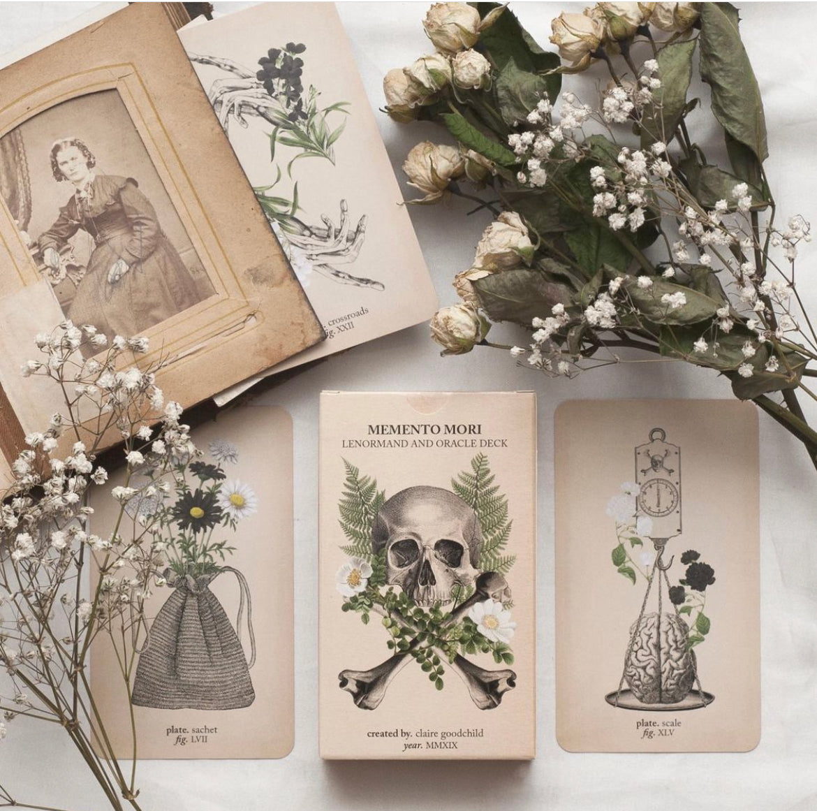 Antique Anatomy Tarot Kit