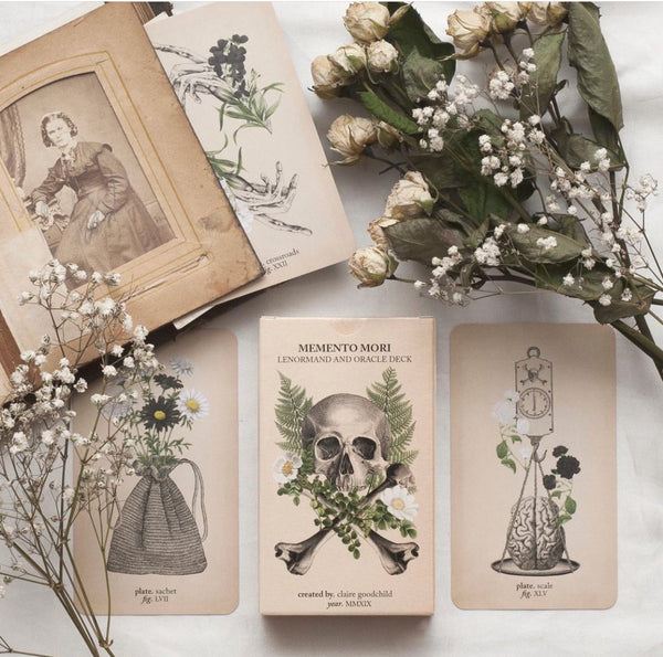 Antique Anatomy Tarot Kit