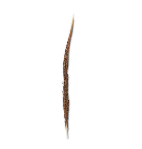 Feathers