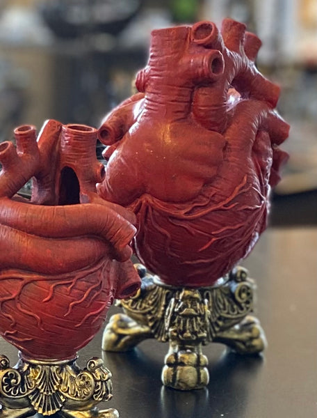 Anatomical Heart Shaped Vase