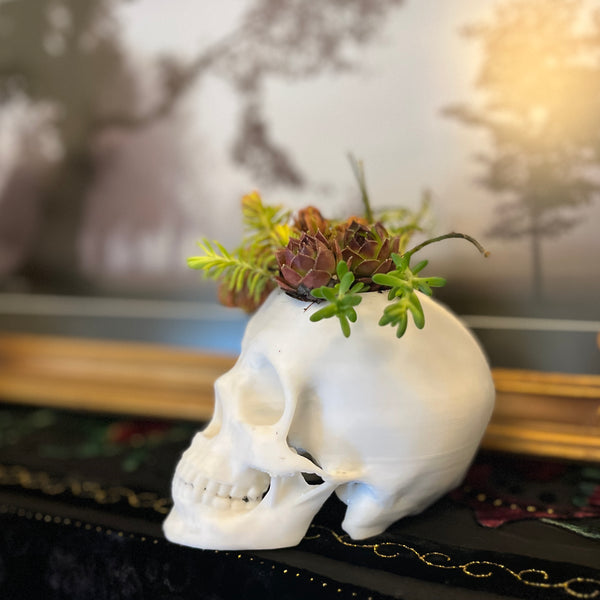 Skull Planter