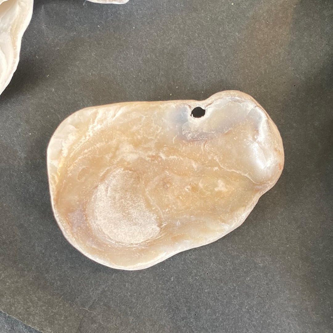 Mermaids Toenails (Shells)