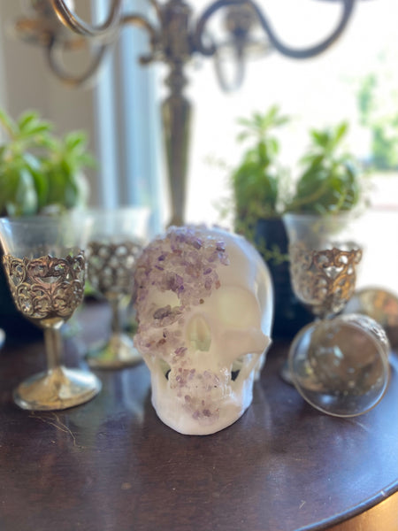 Small White Enviro Skull Encrusted w/ Amethyst