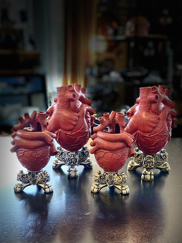 Anatomical Heart Shaped Vase
