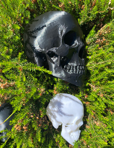 Enviro Skulls