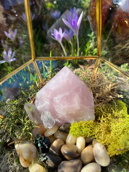 Crystal Rose Quartz Terrarium