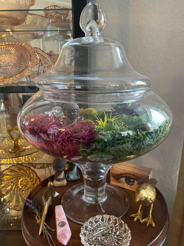 Terrarium w/ Blue Buddha 13"x 17.5"