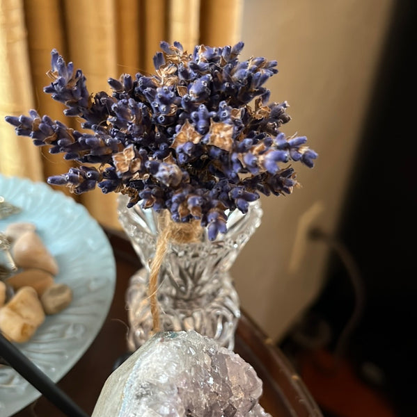 Lavender