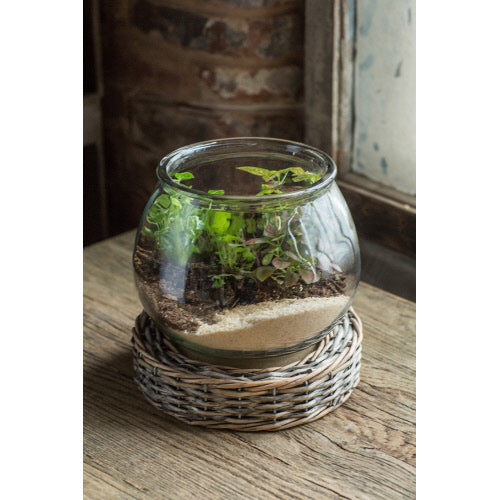 GLASS AND WICKER ROUND TERRARIUM LG
