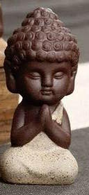 Baby Buddha Mudras