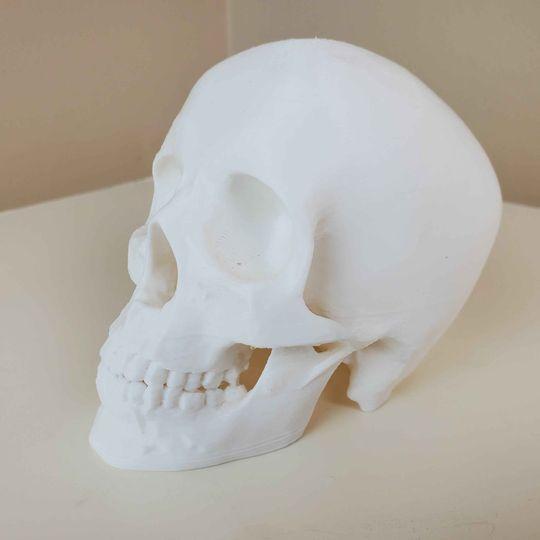 Enviro Skulls