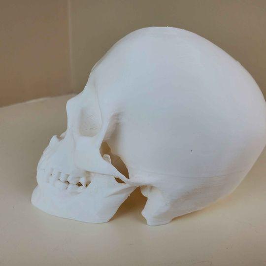 Enviro Skulls