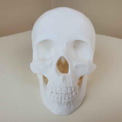 Enviro Skulls